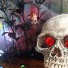 Tina our beautiful fish