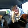My bassets Boog and Ivy.